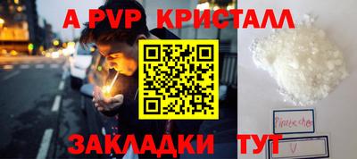 стафф Будённовск