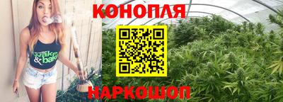 стафф Будённовск