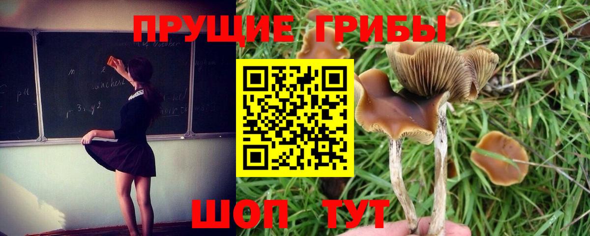 Галлюциногенные грибы ЛСД Кубинка